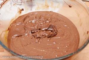 crostata-crema-cioccolato (10)