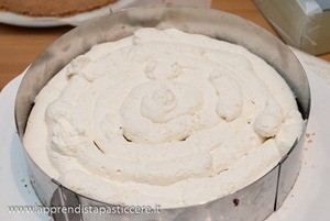 torta al miglio croccante (19)